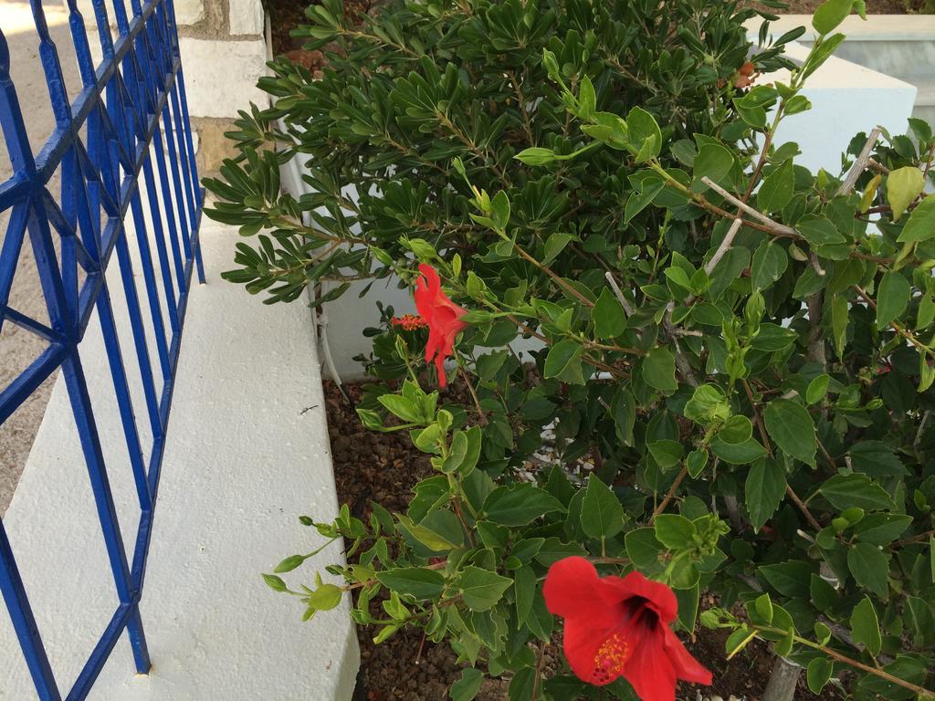 Sea Breeze Apartments Chios Monolia Экстерьер фото