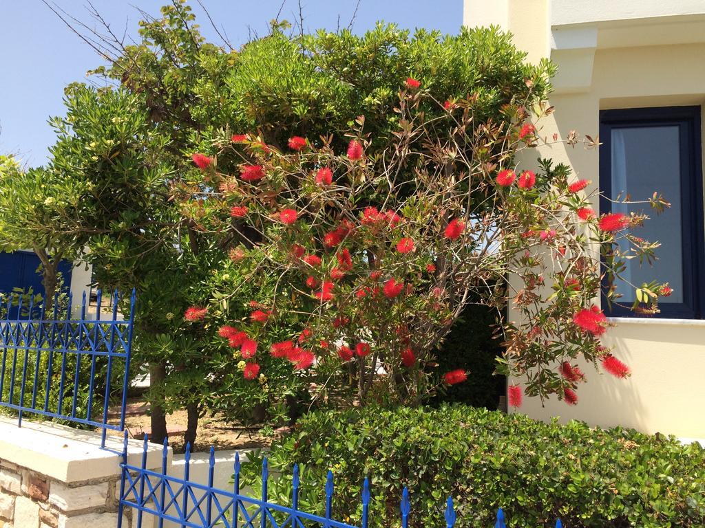 Sea Breeze Apartments Chios Monolia Экстерьер фото